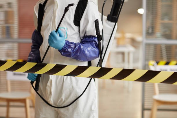 Professional Sewage Cleanup technician working in Braintree, MA